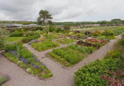 Ballymaloe: The History of a Place and Its People